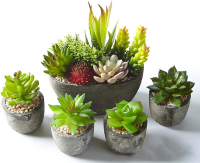 ONEMITTI Set of 5 Artificial Plants Succulents with Pots For Home,Office ,Living Room Bonsai Artificial Plant  with Pot(16 cm, Multicolor)