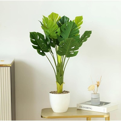 USHA SHRIRAM Artificial Plant  with Pot(72 cm, Green)