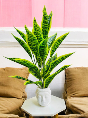 Leafora Natural Looking Artificial Plant Buddha Pot. For Home,Office Decor Bonsai Wild Artificial Plant  with Pot(65 cm, Green)