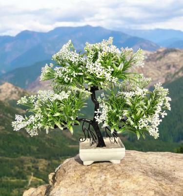 trust style interiors White Flower Bonsai Wild Artificial Plant  with Pot(15 cm, White, Green)