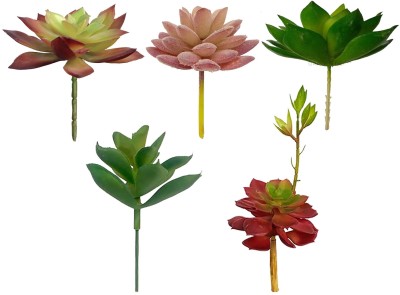 Garden Deco Artificial succulents table decor plants for home and office decoration, Artificial Plant(9.5 cm, Multicolor)