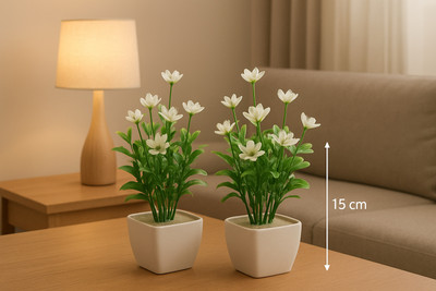 Trego Artificial Plant  with Pot(15 cm, White)