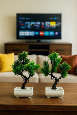 PVN Artificial Bonsai Tree – Set of 2 | Decorative Plants for Home & Office Décor Bonsai Wild Artificial Plant  with Pot(25 cm, Green)