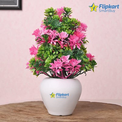 Flipkart SmartBuy Bonsai Wild Artificial Plant  with Pot(17 cm, Pink, Green)