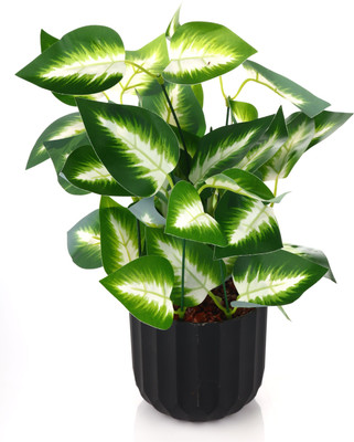 GREENZY GZ-111 Bonsai Artificial Plant  with Pot(25 cm, Green)