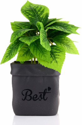 GREENZY GZ-503 Bonsai Artificial Plant  with Pot(18 cm, Green, Grey)
