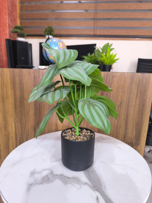 Assembled Artificial Green Leaf Plant in White Ribbed Pot for Home & Office Décor – 37 cm Bonsai Artificial Plant  with Pot(35 cm, Green)