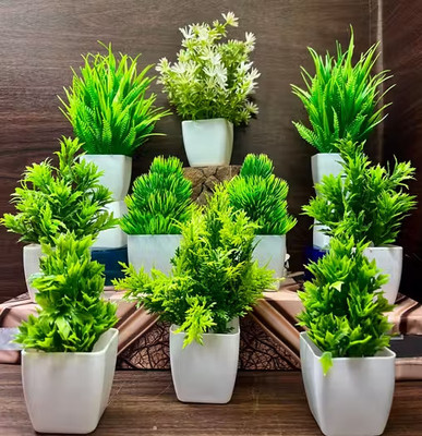 Naturaly Naturaly Set of 10 Artificial Plants Bonsai Wild Artificial Plant with Pot Bonsai Artificial Plant  with Pot(15 cm, Green)