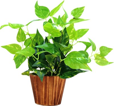 fancymart home décor money plant (26 cm) realistic design in wood round Bonsai Artificial Plant  with Pot(13 cm, Green)