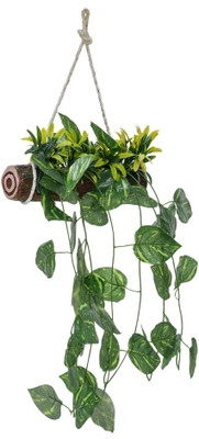 well art gallery Well Art Gallery Artificial ivy Leaf bail/creeper for Home, Office, Garden Decor Artificial Plant(62 cm, Green, Brown)