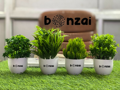 Bonzai Set Of 4 Artificial Plants For Home And Office Decor Bonsai Wild Artificial Plant  with Pot(12 cm, Green)