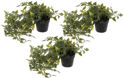 HOMESTIC Heart HomeArtificial Vine Plants with Pot|Pack of 3 (Green) Wild Artificial Plant  with Pot(7 cm, Green)
