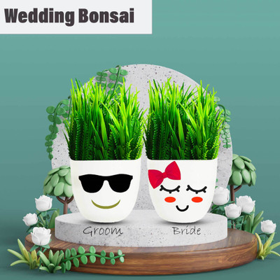 Asharya Set of 2 Cute Artificial Plants for Home Decoration and Wedding Gifts Bonsai Wild Artificial Plant  with Pot(14 cm, Green)