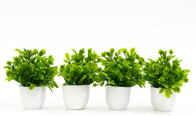 Fadefox FadeFox GreenAura Pot Set Artificial Plant  with Pot(20 cm, Green)