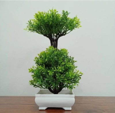 Decogreen SINGAL IPP GREEN, WITH SHIP POT, Plant For H, Office Decor & Study Table Bonsai Wild Artificial Plant  with Pot(30 cm, Green)