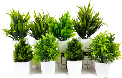 Akp Artificial Plant with Pot For Home & Office, Wall Shelves, Indoor Decor Wild Artificial Plant  with Pot(18 cm, Green)