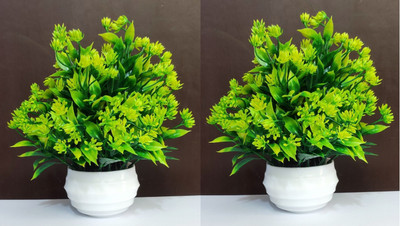 Leafora Set of 2 Table Top Best For Home/Office Table Decoration or Gift Bonsai Wild Artificial Plant  with Pot(20 cm, Green)