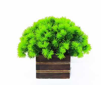 Leafora - Artificial mini green grass with wood pot for home decor Bonsai Wild Artificial Plant  with Pot(18 cm, Green)