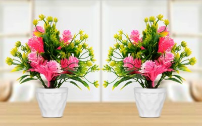 RisEmpire Artificial Plant For Home/Office Table Decoration or Gift ( Pack of 2, 7inch) Pink, Green Rose Artificial Flower  with Pot(6.8 inch, Pack of 8, Flower with Basket)