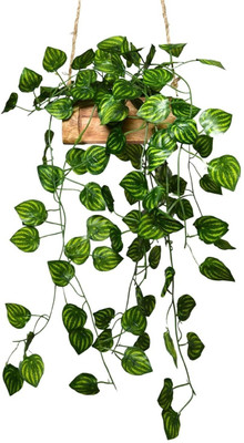 Shandilora Artificial Money Plant (Pack Of 01 Strings,8ft/Per string 30 leave per vine)-25 Artificial Plant(96 cm, Green)