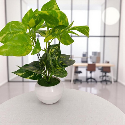DNEnterprises Decorative Artificial Money Plants Pot with Green Leaves for Home Decor(25cm) Artificial Plant  with Pot(25 cm, Green, White)