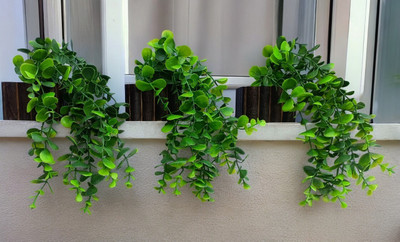 Ryme PackOf 3 Falling Bonsai Wild Artificial Plant with Pot(10 cm, Green)