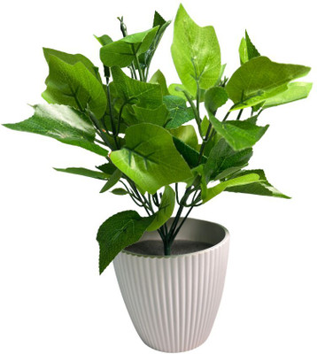 De Gardenia Artificial Croton Plant for Home & Office Décor Artificial Plant(30 cm, Green)