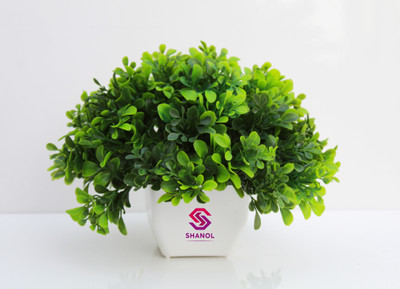 shanol artificial plastic plants with pot for office table and home decoration Bonsai Wild Artificial Plant  with Pot(18 cm, Green)