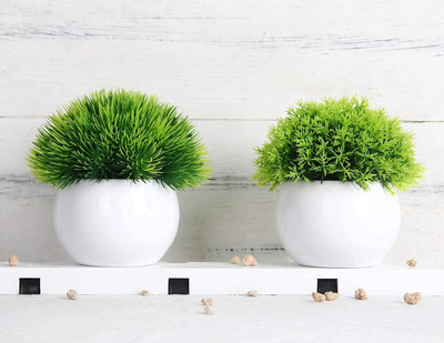 Aara Artificial Plant  with Pot(12 cm, White)