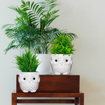 DODECROO Pack of 2 Owl Pot With Artificial Elegant Foliage |Decor-Party,Home Bonsai Artificial Plant  with Pot(21 cm, Green)
