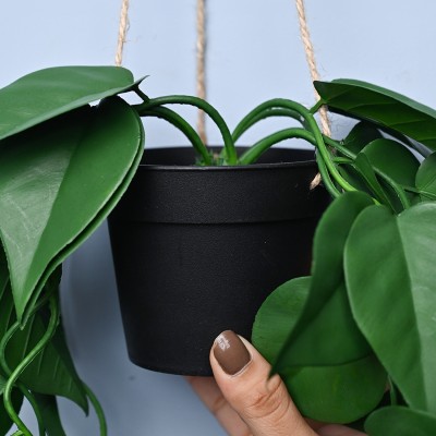 MARKET 99 Market 99 Plastic Hanging Planter | Green Color Planter With Cylindrical Shape Artificial Plant  with Pot(68 cm, Green)