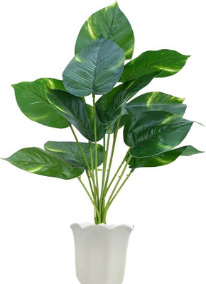 Buffels India 12 Artificial Plant  with Pot(50 cm, Green)