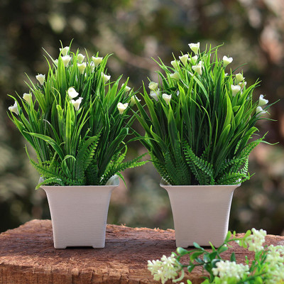 REIKI CRYSTAL PRODUCTS Artificial Plants With Pot-Home/Office Decor Bonsai Artificial Plant Bonsai Wild Artificial Plant  with Pot(19 cm, Green, White)