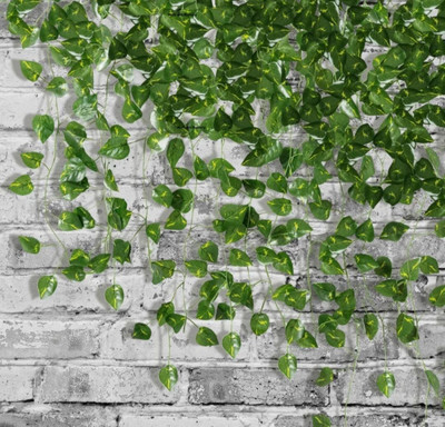 NAFCO 8ft Set of 1Artificial Money Plant Vine,For|Home|Office|Garden|Decoration Artificial Plant(50 cm, Green)