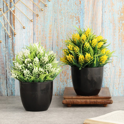 Foliyaj Set of 2 Artificial Plants With White and Yellow Buds Wild Artificial Plant  with Pot(20 cm, Multicolor)