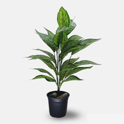 vivras craft Artificial Snake Plant Artificial Plant(70 cm, Green)