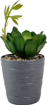 VENSA KINS Bonsai Artificial Plant  with Pot(27 cm, Grey)