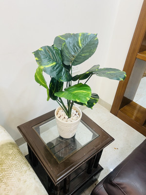 EverBloom Ceremic Pot with Artificial Leaf Wild Artificial Plant  with Pot(121.92 cm, Green)