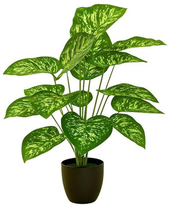 De Gardenia Artificial Dieffenbachia, Alocasia Elephant Ear Home, Office & Outdoor Decor Artificial Plant  with Pot(100 cm, Green)