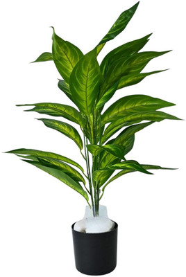 De Gardenia De Gardenia Multicolor Artificial Monstera & Carton Plant with Pot Artificial Plant  with Pot(70 cm, Multicolor)