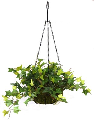 De Gardenia De Gardenia English Ivy Hanging Plant with Iron Basket Artificial Plant  with Pot(40 cm, Green)