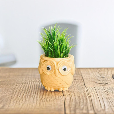 Akaar Artificial Fern Plant with Hard Plastic Owl Pot for Home Decor | Office Decor Artificial Plant  with Pot(20 cm, Orange, Green)