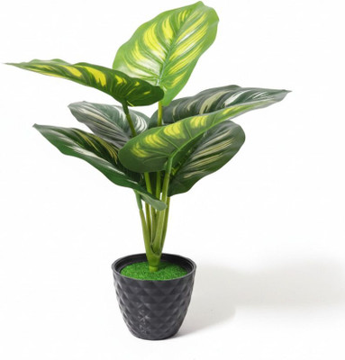 plantworld Long Leaves Artificial Plant Bonsai Wild Artificial Plant  with Pot(25 cm, Green)