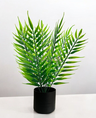 Leafora Natural Looking For Home,Office Decoration Bonsai Artificial Plant  with Pot(35 cm, Green)