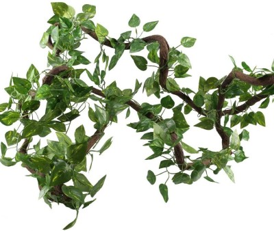 DilSe 8ft Set of 6 Artificial Money Plant Vine,For|Home|Office|Garden|Decoration Artificial Plant(180 cm, Green)