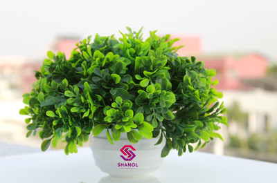 shanol artificial plastic plants with pot for office table and home decoration Wild Artificial Plant  with Pot(15 cm, Green)
