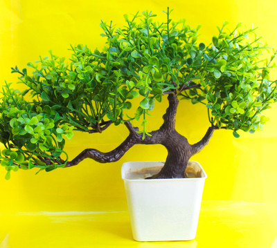 Leafora Sanol ARTIFIAL PLANTS Bonsai Wild Artificial Plant  with Pot(22 cm, Green)