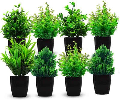 Asharya Mini/Small Faux Plants, Bonsai Plant (Pack of 8)- home, office, room, table | Bonsai Wild Artificial Plant  with Pot(17.5 cm, Green)