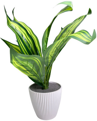 De Gardenia Artificial Croton Plant for Home & Office Décor Artificial Plant(30 cm, Green)