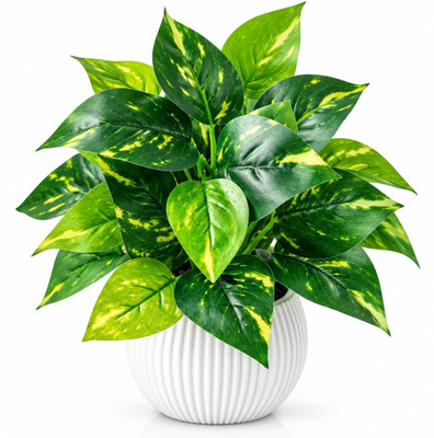 LYNALIVING Artificial Money Plant with White Ceramic Pot | Decor for Home, Office | 16cm Artificial Plant  with Pot(16 cm, Green)